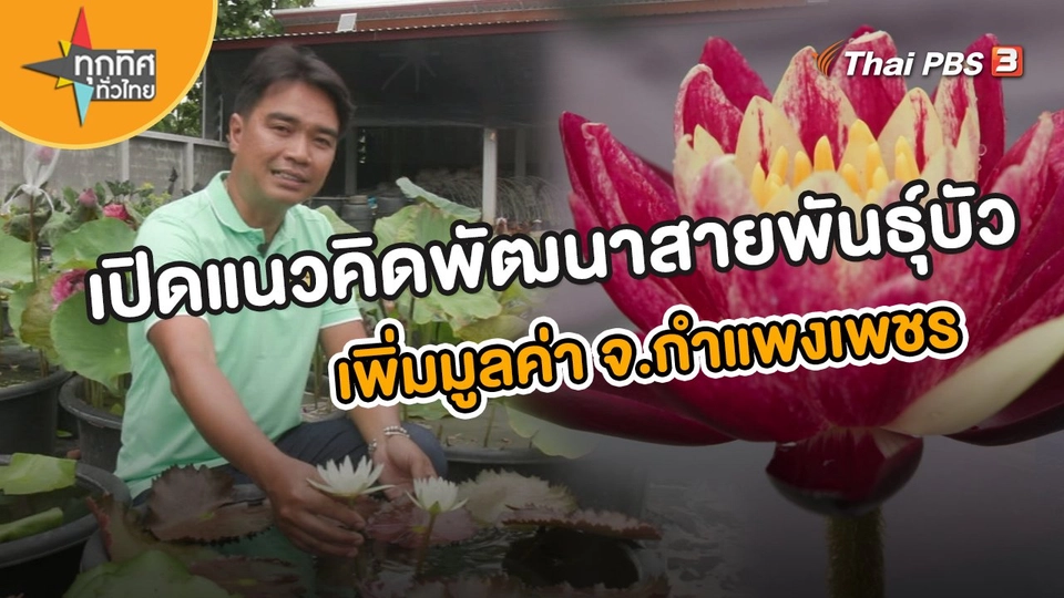 อาชีพทั่วไทย : เปิดแนวคิดพัฒนาสายพันธุ์บัวเพิ่มมูลค่า จ.กำแพงเพชร