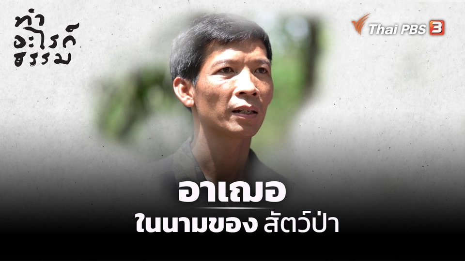 “อาเฌอ” ในนามของสัตว์ป่า