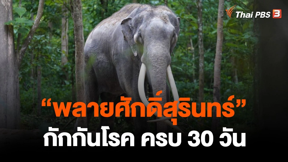 "พลายศักดิ์สุรินทร์" กักกันโรค ครบ 30 วัน