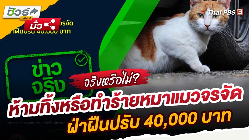 ​ชัวร์หรือมั่ว : ห้ามทิ้งหรือทำร้ายหมาแมวจรจัด ฝ่าฝืนปรับ 40,000 บาท
