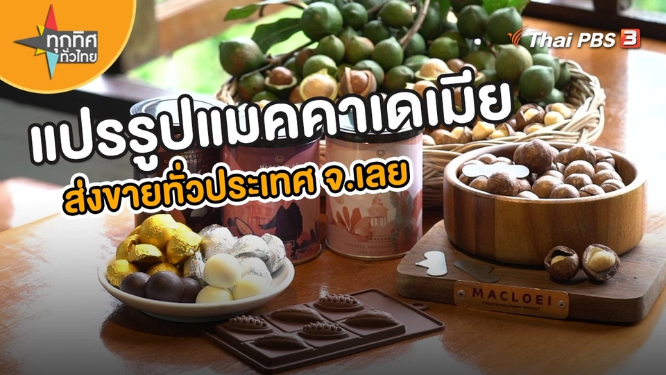 อาชีพทั่วไทย : แปรรูปแมคคาเดเมียหลากหลายส่งขายทั่วประเทศ จ.เลย