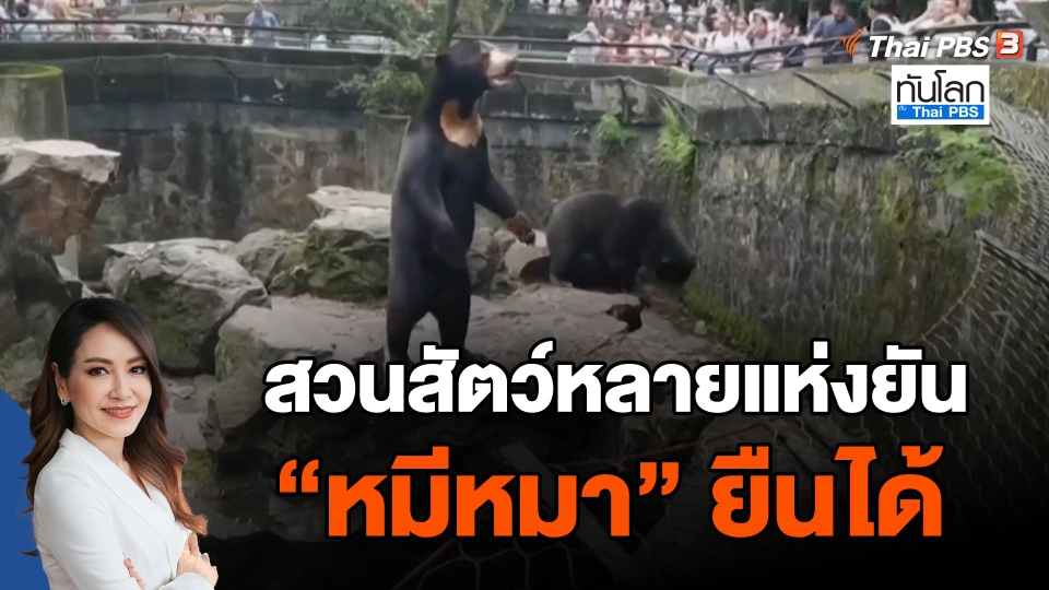 สวนสัตว์หลายแห่งยัน "หมีหมา" ยืนได้