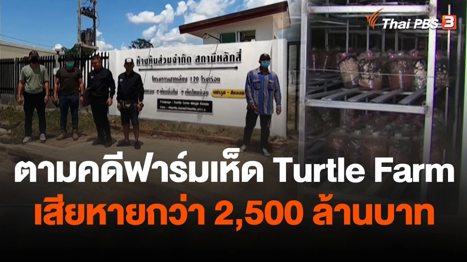 สถานีร้องเรียน : ตามคดีฟาร์มเห็ด Turtle Farm เสียหายกว่า 2,500 ล้านบาท