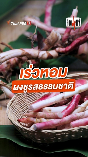 เร่วหอม ผงชูรสธรรมชาติ