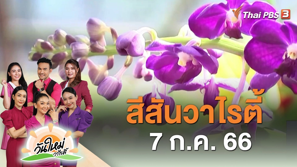 สีสันวาไรตี้ (7 ส.ค. 66)