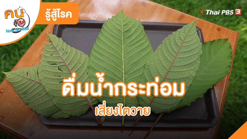 ​รู้สู้โรค : ดื่มน้ำกระท่อมเสี่ยงไตวาย