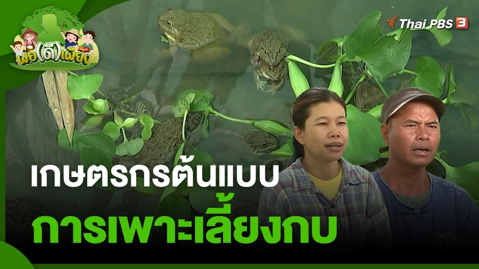 พอดีพอเพียง : เกษตรกรต้นแบบการเพาะเลี้ยงกบ จ.สระแก้ว