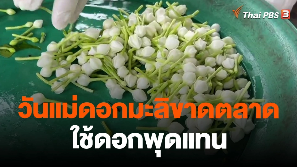 วันแม่ดอกมะลิขาดตลาดใช้ดอกพุดแทน จ.ขอนแก่น