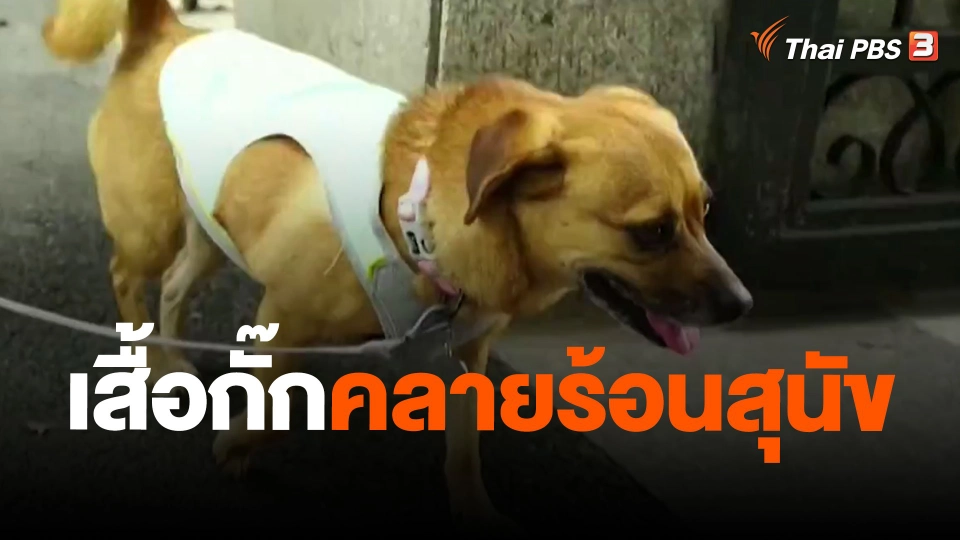 เสื้อกั๊กคลายร้อนสุนัข