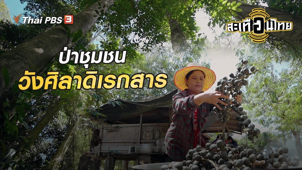 ป่าชุมชนวังศิลาดิเรกสาร