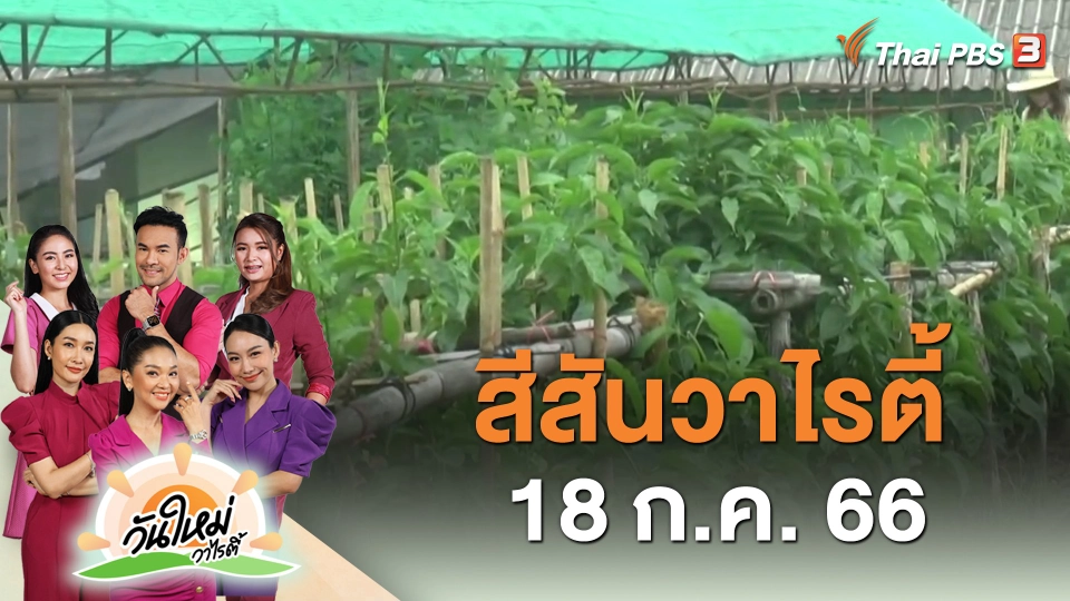 สีสันวาไรตี้ (18 ส.ค. 66)