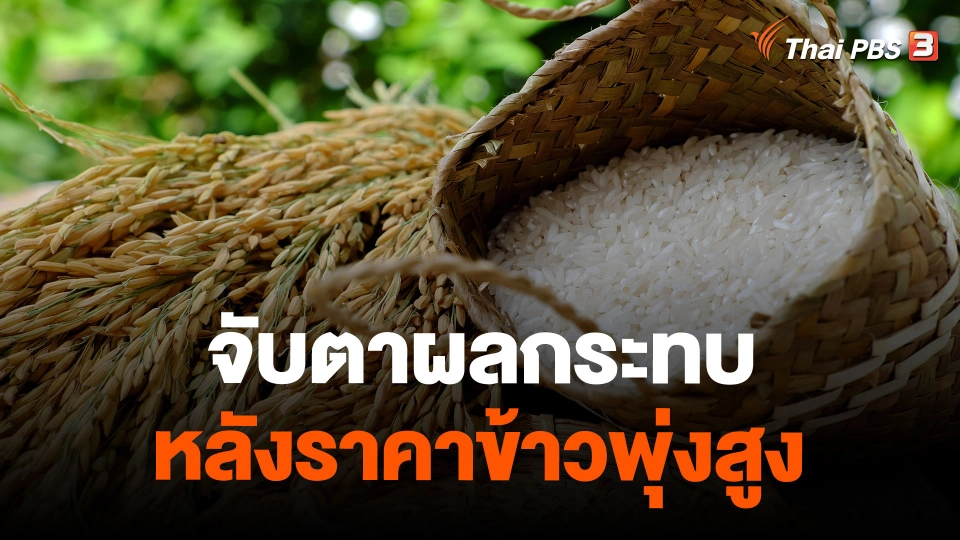 จับตาผลกระทบ หลังราคาข้าวพุ่งสูง