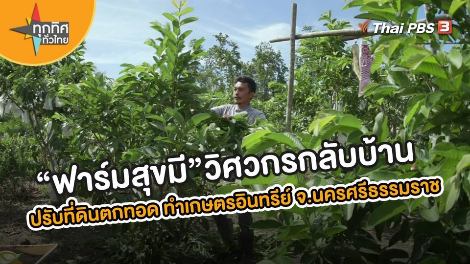 ​อาชีพทั่วไทย : “ฟาร์มสุขมี” วิศวกรกลับบ้าน ปรับที่ดินตกทอด ทำเกษตรอินทรีย์ จ.นครศรีธรรมราช