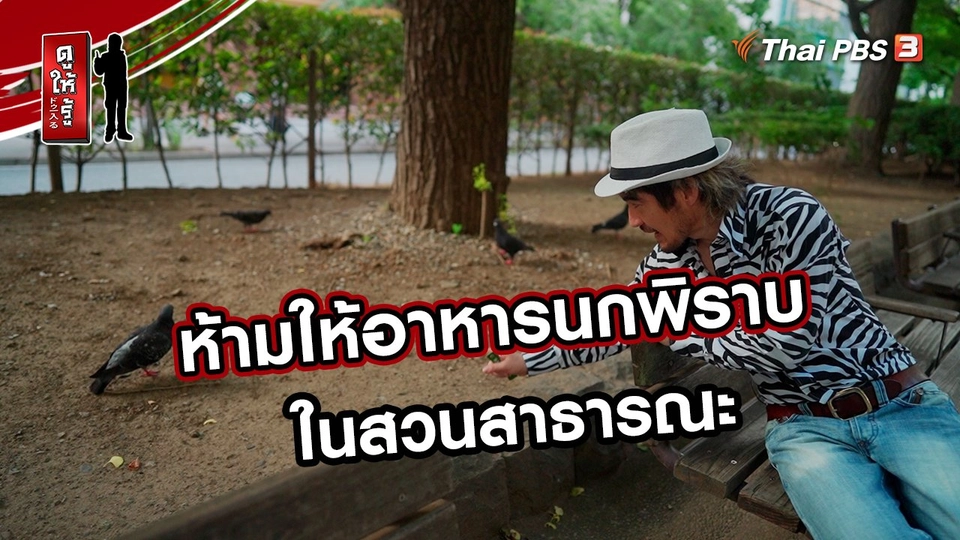 ห้ามให้อาหารนกพิราบในสวนสาธารณะ
