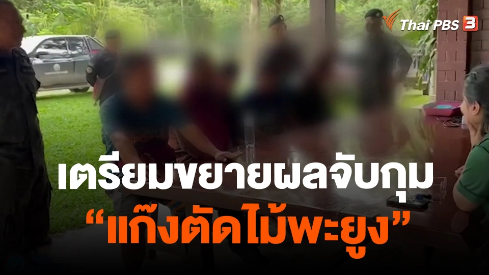 ​เตรียมขยายผลจับกุม "แก๊งตัดไม้พะยูง" จ.สระแก้ว