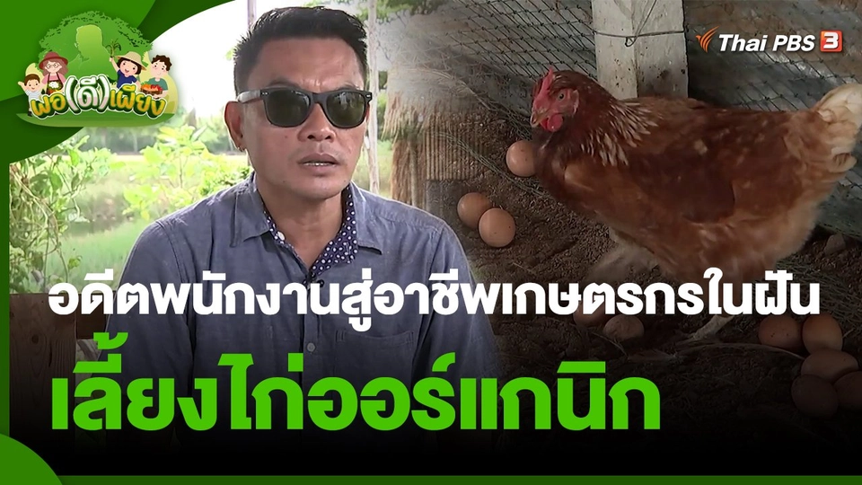 ​พอดีพอเพียง : อดีตพนักงานประจำผันตัวสู่อาชีพเกษตรกรในฝัน เลี้ยงไก่ออร์แกนิก