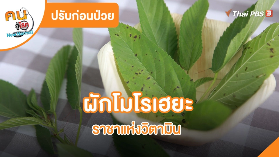 ผักโมโรเฮยะ ราชาแห่งวิตามิน