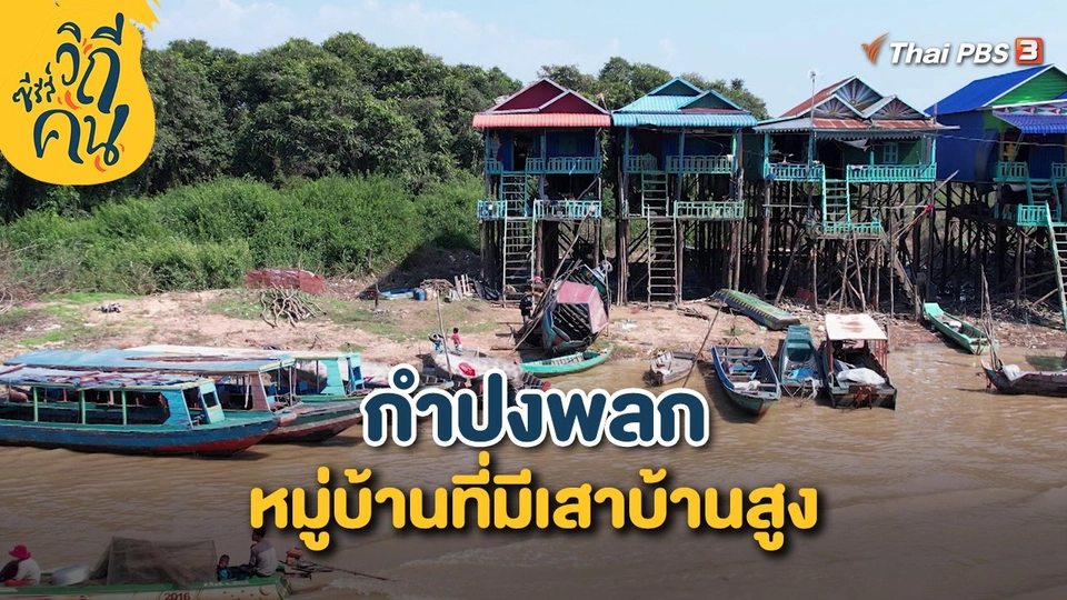 “กำปงพลก” หมู่บ้านที่มีเสาบ้านสูง