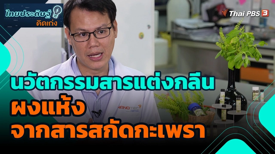 ​ไทยประดิษฐ์คิดเก่ง : นวัตกรรมสารแต่งกลิ่นผงแห้งจากสารสกัดกะเพรา