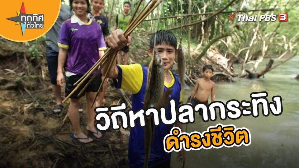 วิถีทั่วไทย : วิถีหาปลากระทิงดำรงชีวิต