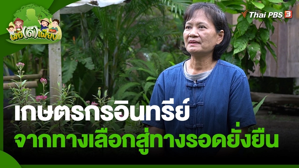 ​พอดีพอเพียง : เกษตรกรอินทรีย์ จากทางเลือกสู่ทางรอดยั่งยืน