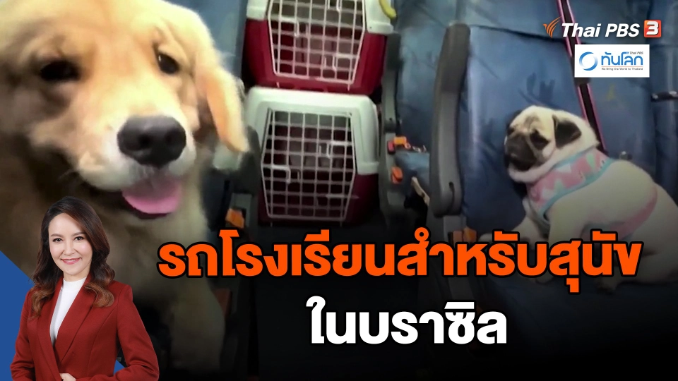 รถโรงเรียนสำหรับสุนัขในบราซิล