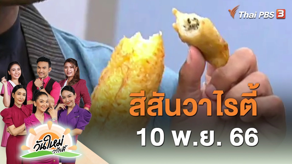 ​สีสันวาไรตี้ (10 พ.ย. 66)
