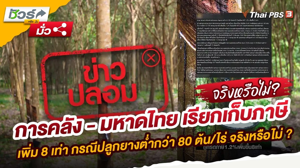 ข่าวปลอม : การคลัง - มหาดไทย เรียกเก็บภาษีเพิ่ม 8 เท่า กรณีปลูกยางต่ำกว่า 80 ต้น/ไร่