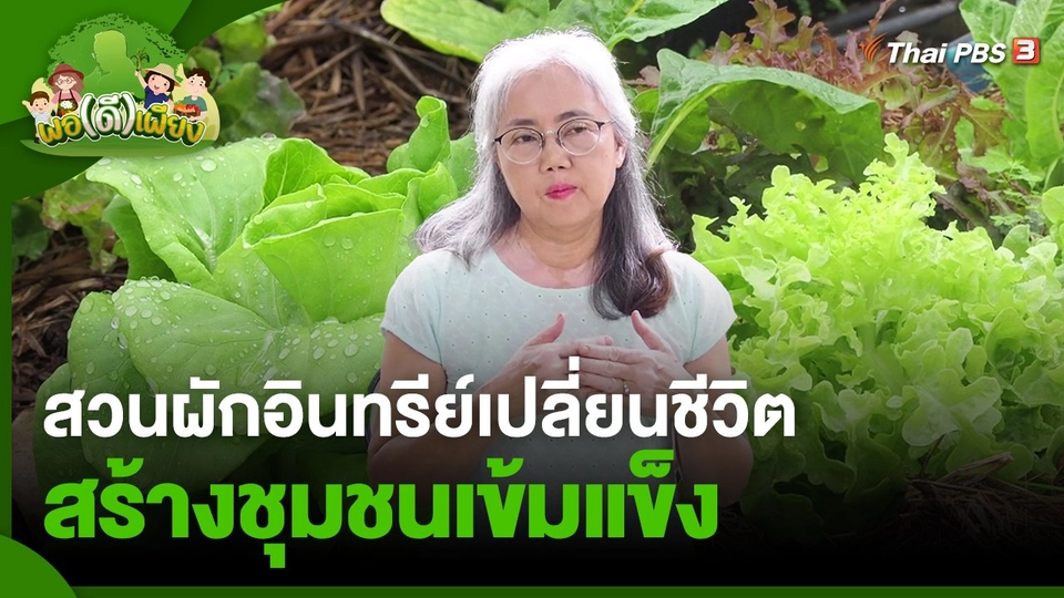 สวนผักอินทรีย์เปลี่ยนชีวิต สร้างชุมชนเข้มแข็ง