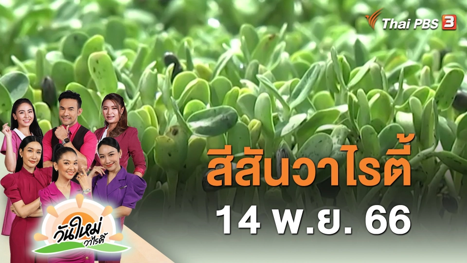 สีสันวาไรตี้ (14 พ.ย. 66)