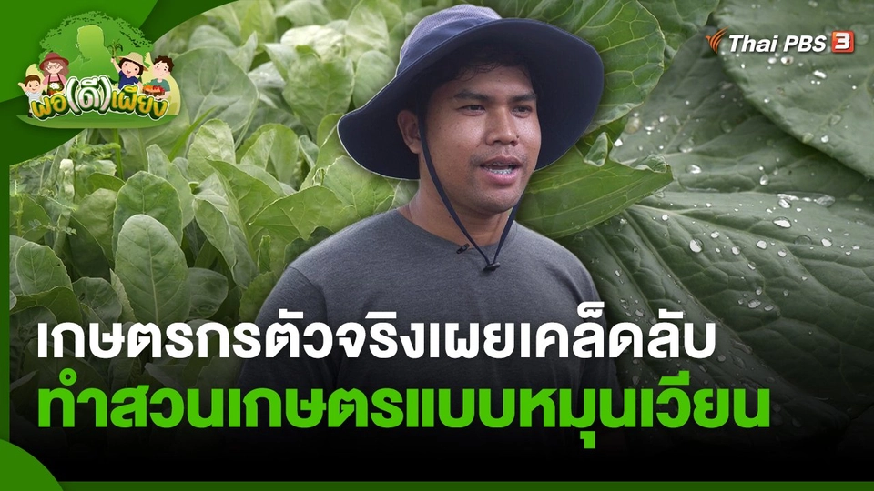 เกษตรกรตัวจริงเผยเคล็ดลับ ทำสวนเกษตรแบบหมุนเวียน