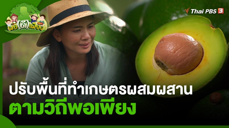 ปรับพื้นที่ทำเกษตรผสมผสานตามวิถีพอเพียง