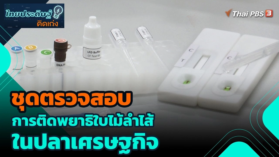 ชุดตรวจสอบการติดพยาธิใบไม้ลำไส้ในปลาเศรษฐกิจ