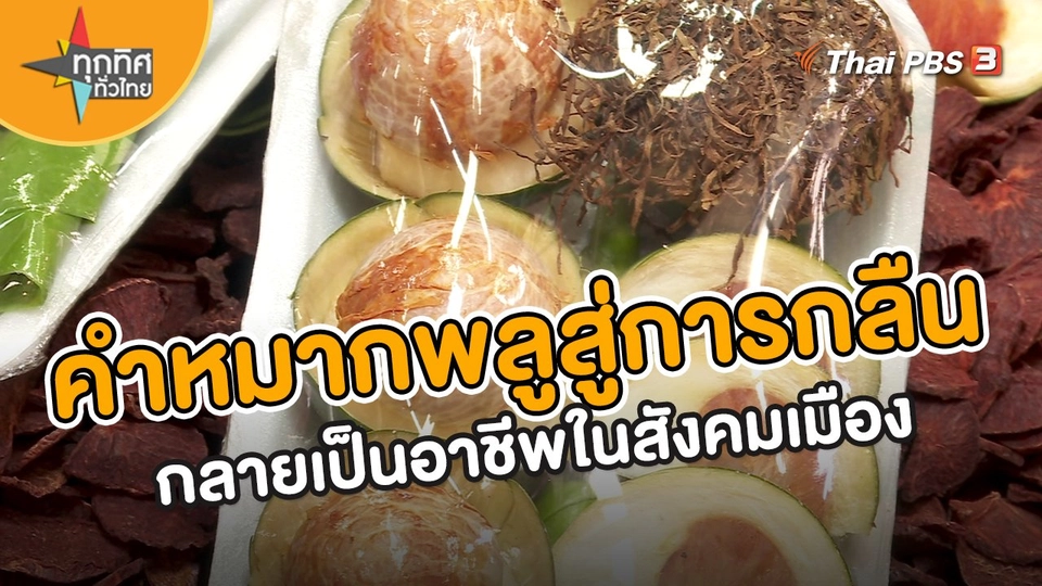 ​อาชีพทั่วไทย : คำหมากพลูสู่การกลืนกลายเป็นอาชีพในสังคมเมือง