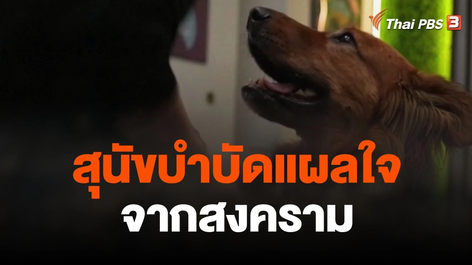 สุนัขบำบัดแผลใจจากสงคราม