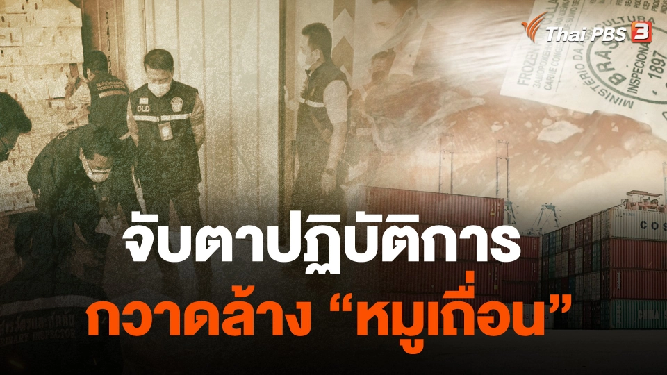 จับตาปฏิบัติการกวาดล้าง "หมูเถื่อน"