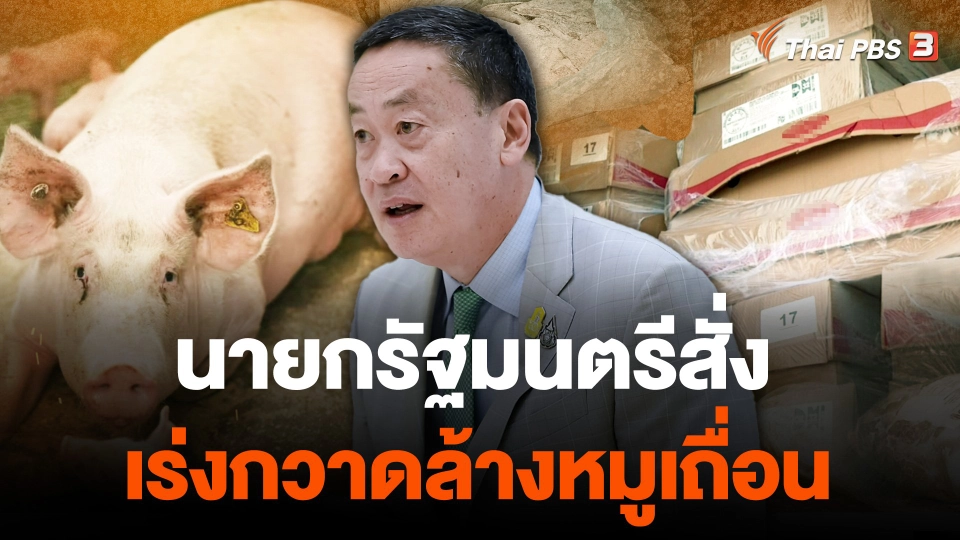 นายกรัฐมนตรีสั่งเร่งกวาดล้างหมูเถื่อน