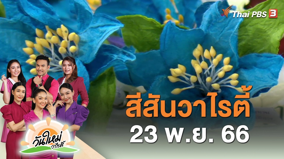 สีสันวาไรตี้ (23 พ.ย. 66)