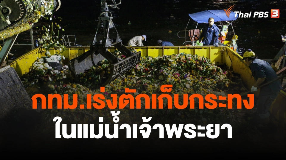 กทม.เร่งตักเก็บกระทงในเจ้าพระยา