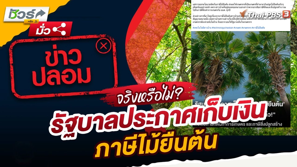 ชัวร์หรือมั่ว : รัฐบาลประกาศเก็บเงินภาษีไม้ยืนต้น จริงหรือ ?