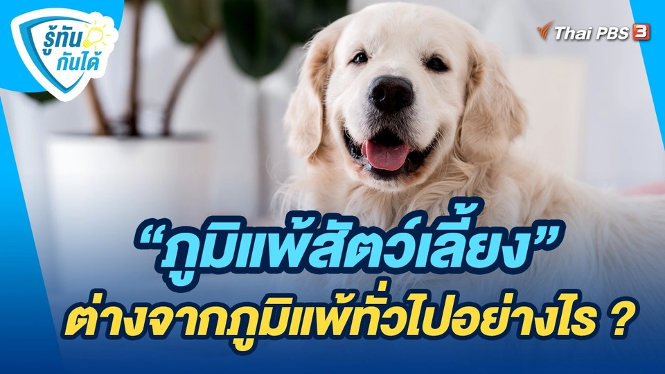 รู้ทันกันได้ : "ภูมิแพ้สัตว์เลี้ยง" ต่างจากภูมิแพ้ทั่วไปอย่างไร ?