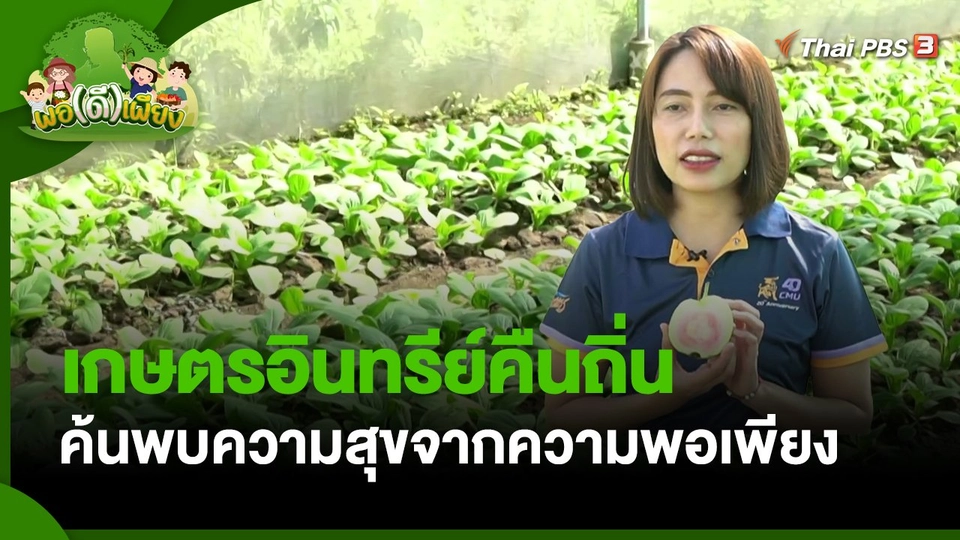 พอดีพอเพียง : เกษตรอินทรีย์คืนถิ่น ค้นพบความสุขจากความพอเพียง