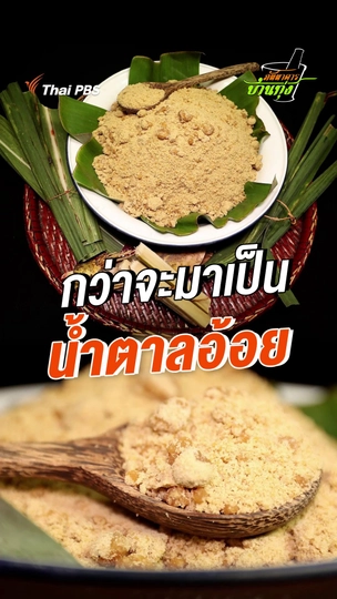 กว่าจะเป็นน้ำตาลอ้อย