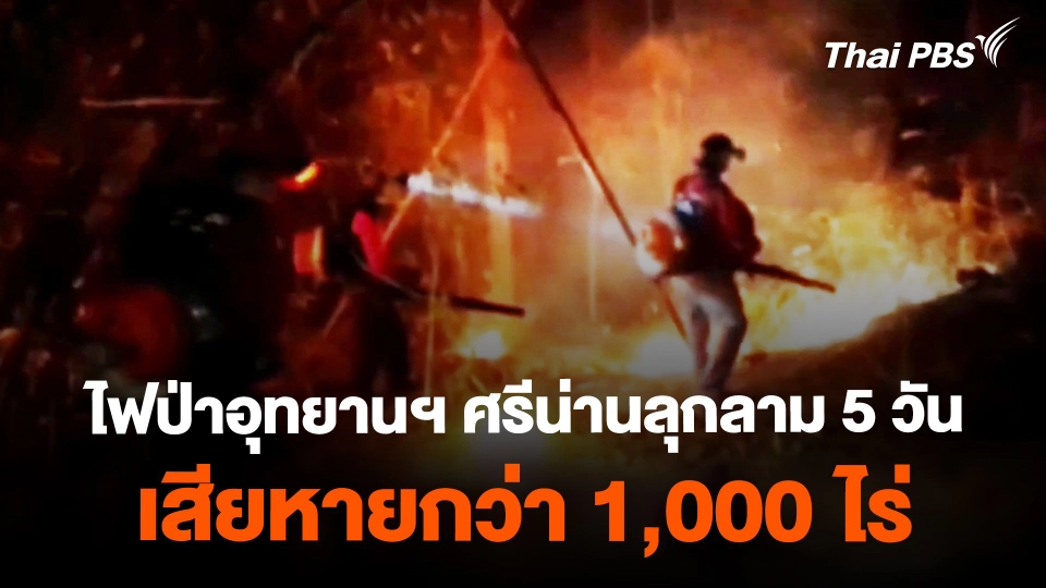 ไฟป่าในอุทยานฯ ศรีน่านลุกลาม 5 วัน เสียหายกว่า 1,000 ไร่