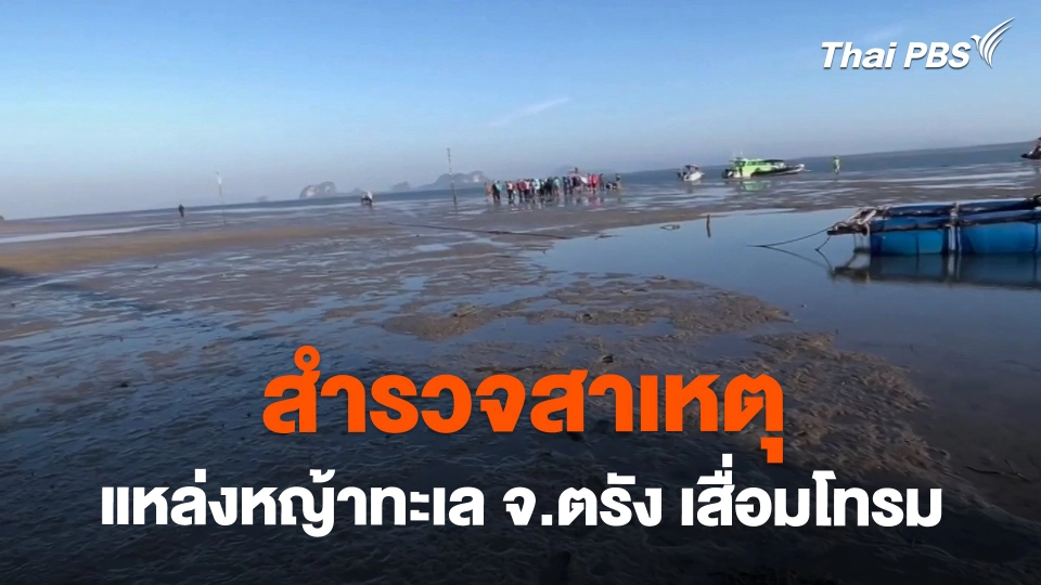 สำรวจสาเหตุแหล่งหญ้าทะเล จ.ตรัง เสื่อมโทรม