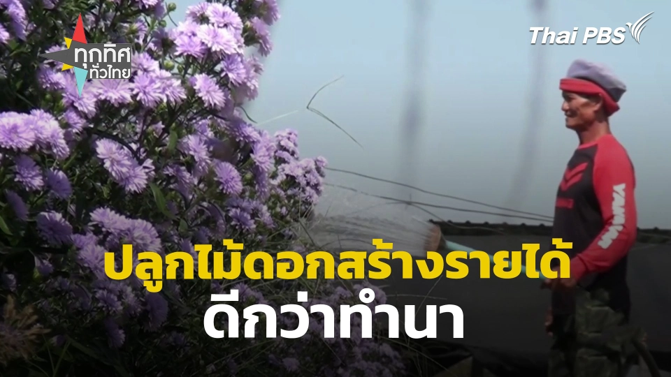 ชาวอุบลฯ ปลูกไม้ดอกสร้างรายได้ดีกว่าทำนา