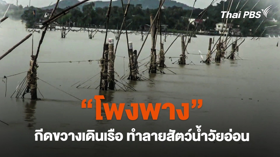 "โพงพาง" กีดขวางเดินเรือและทำลายสัตว์น้ำวัยอ่อน