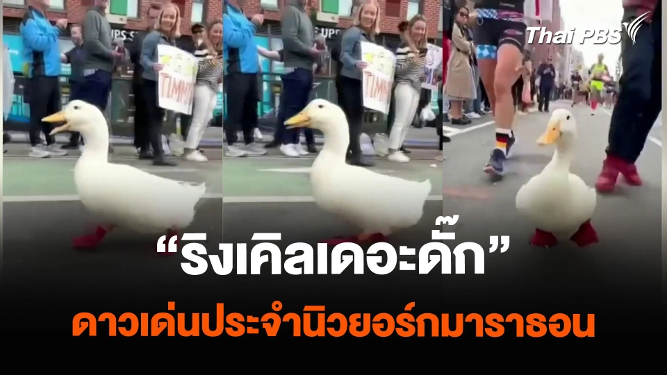 "ริงเคิลเดอะดั๊ก" ดาวเด่นประจำนิวยอร์กมาราธอน