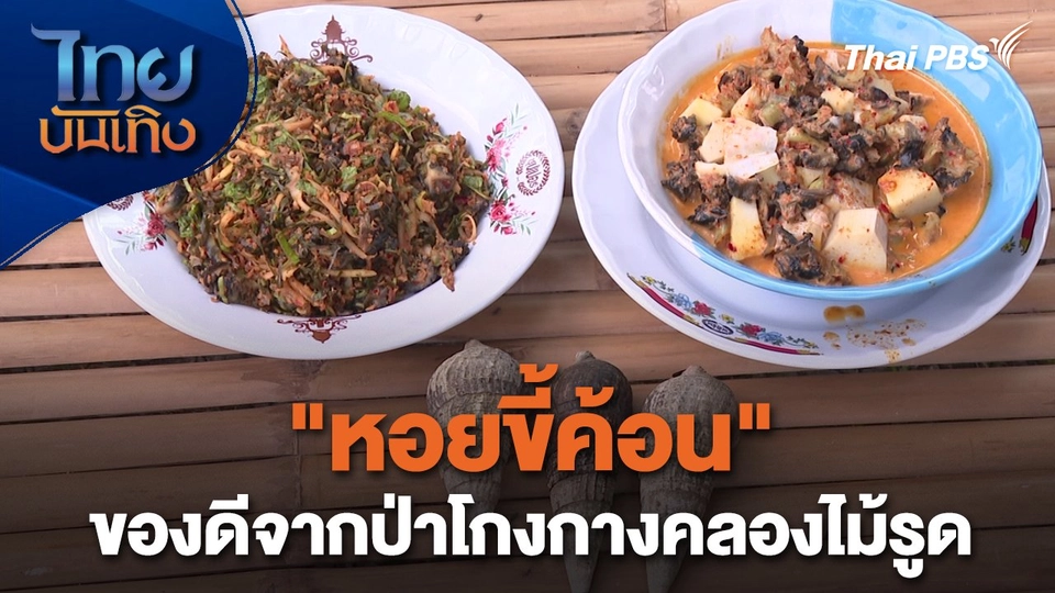 อิ่มมนต์รส : "หอยขี้ค้อน" ของดีจากป่าโกงกางคลองไม้รูด