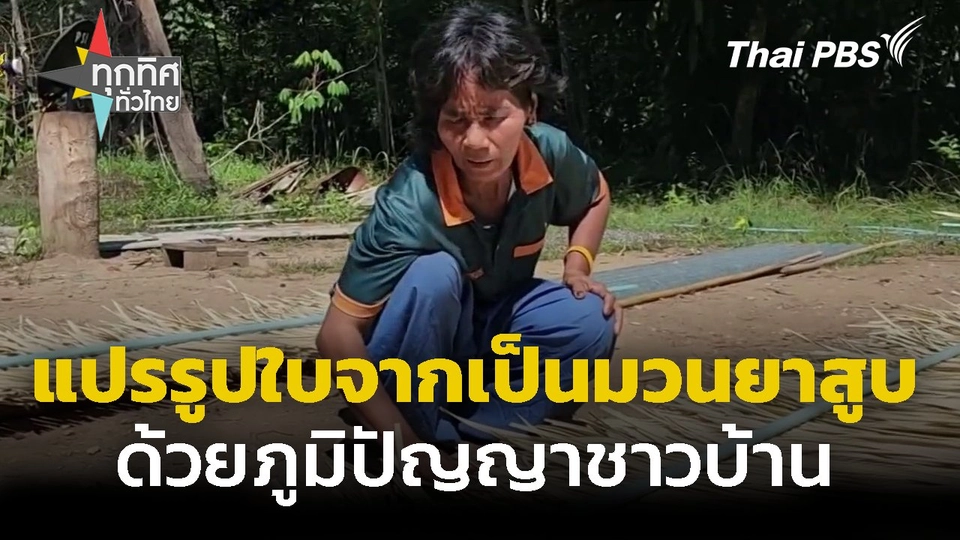 แปรรูปใบจากเป็นมวนยาสูบ ด้วยภูมิปัญญาชาวบ้าน